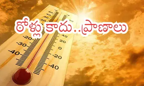 intensity of the sun is high in the states of andhra pradesh and telangana intensity of the sun is high in the states of andhra pradesh and telangana