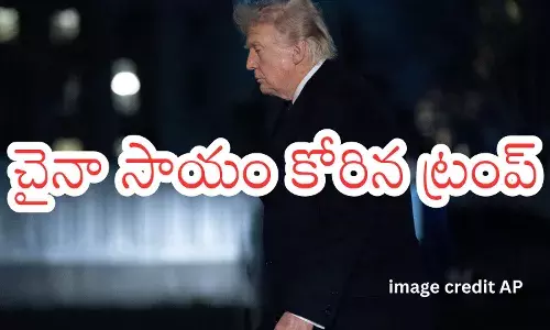 Donald Trump discussing Strait of Hormuz oil tanker security and possible China visit delay Donald Trump discussing Strait of Hormuz oil tanker security and possible China visit delay