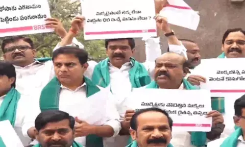 brs leaders came to the assembly to demonstrate to support corn farmers