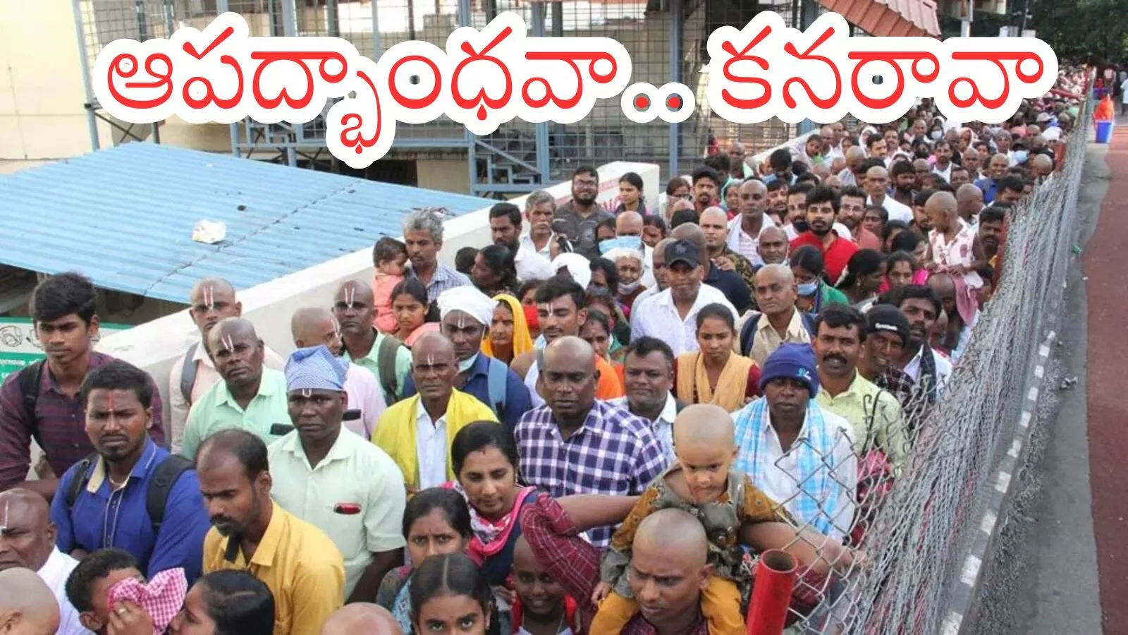 Tirumala : నేడు తిరుమలలో భక్తుల రద్దీ ఎలా ఉందో తెలిస్తే?