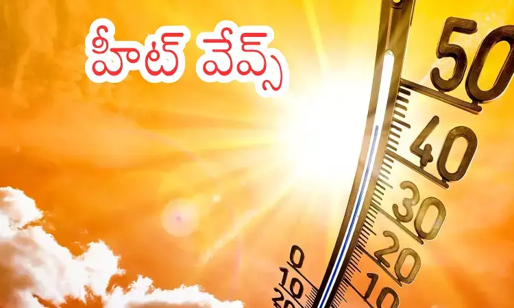 Weather Report : రానున్న మూడు నెలలు ముప్పే.. ఎండలు ఏ స్థాయిలో ఉంటాయంటే? Weather Report : రానున్న మూడు నెలలు ముప్పే.. ఎండలు ఏ స్థాయిలో ఉంటాయంటే?