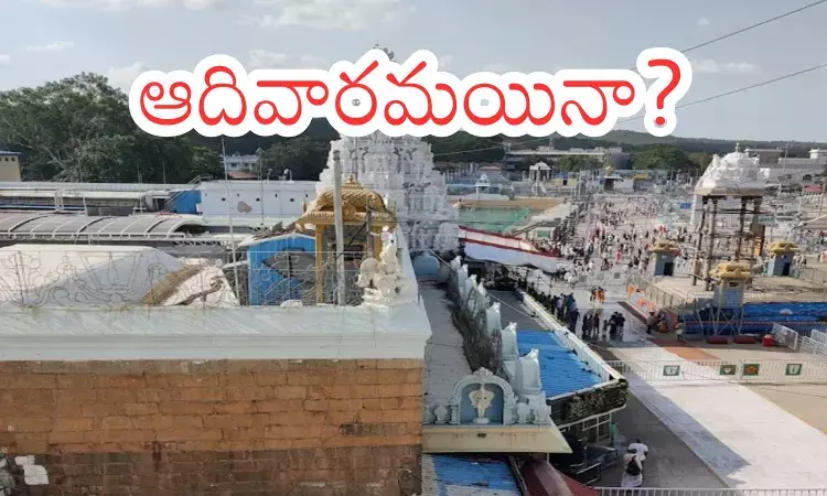 Tirumala : తిరుమలకు నేడు వచ్చే భక్తులకు గుడ్ న్యూస్.. దర్శనం వెంటనే