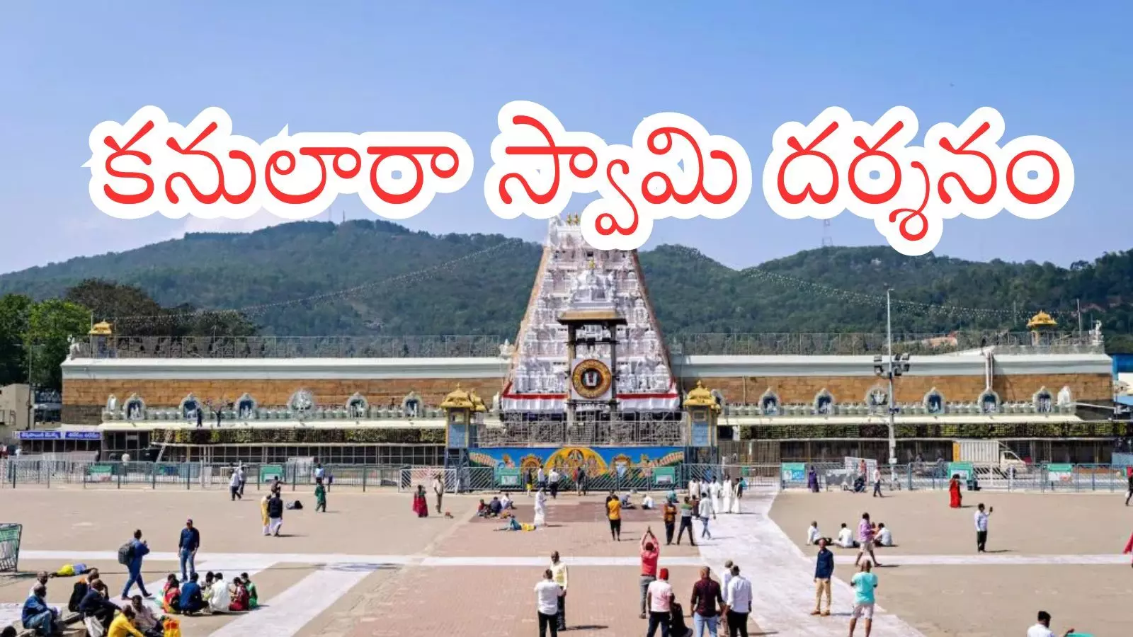 Tirumala : నేడు తిరుమలకు వెళ్లే వారికి తీపికబురు