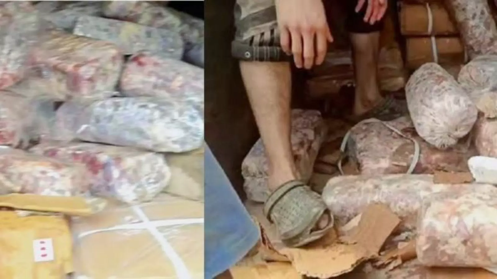 Hyderabad : హైదరాబాల్ లో భారీగా కుళ్లిన మాంసం సీజ్ Hyderabad : హైదరాబాల్ లో భారీగా కుళ్లిన మాంసం సీజ్