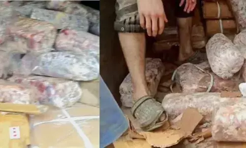 taskforce seize huge quantity of rotten meat in hyderabad