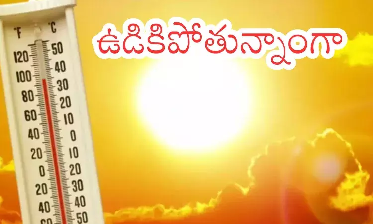 Summer Effect : ఇవేమి ఎండలు...పెనం మీద ఉన్నట్లుందిరా మామా