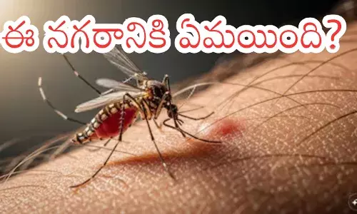 Stagnant water and garbage in Hyderabad streets contributing to the Hyderabad mosquito menace and rising dengue cases