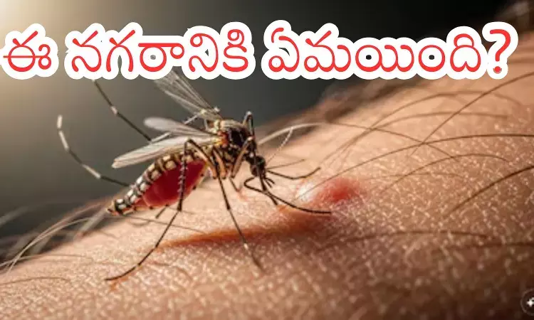 Stagnant water and garbage in Hyderabad streets contributing to the Hyderabad mosquito menace and rising dengue cases