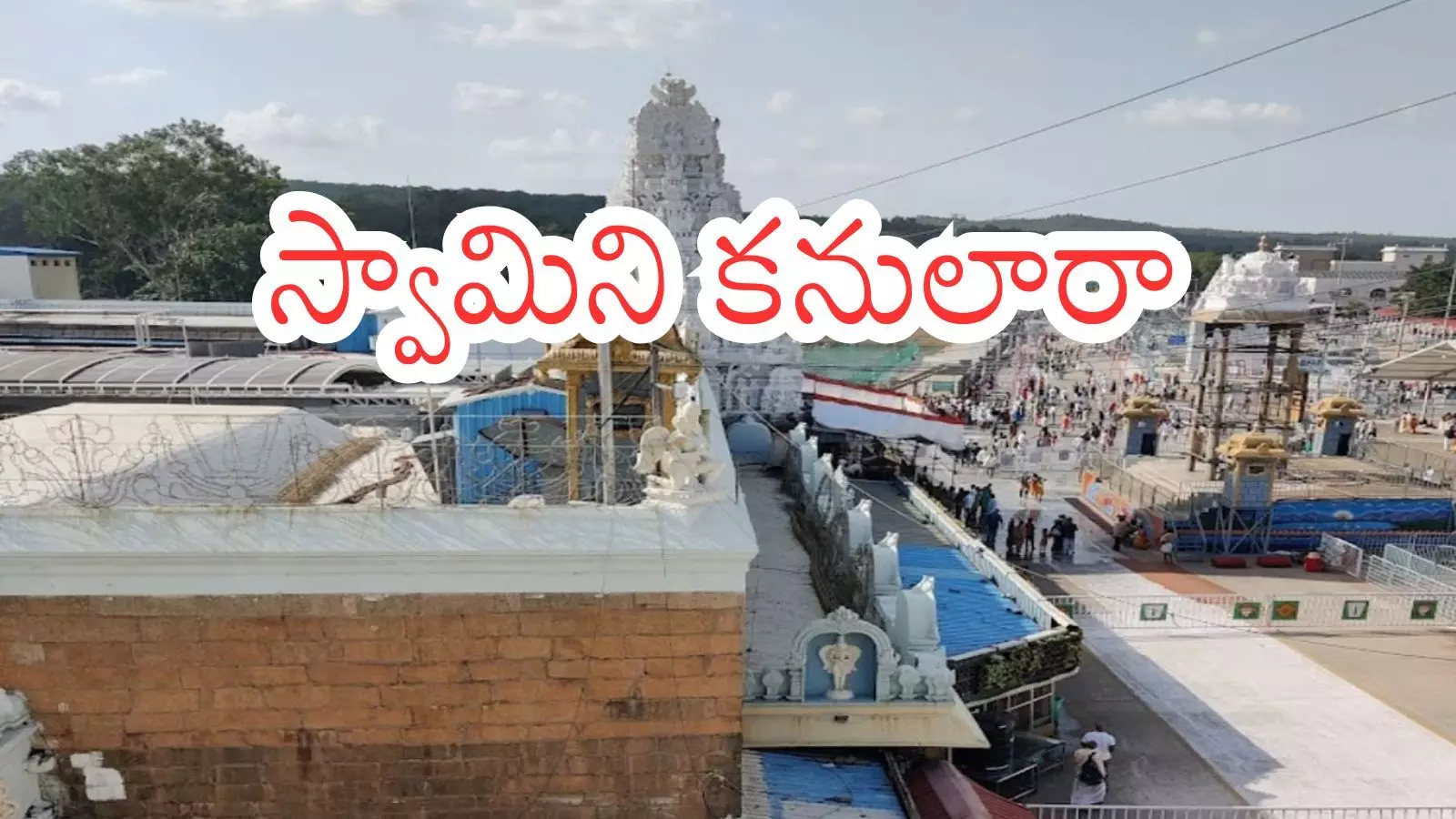 Tirumala : తిరుమలకు నేడు వచ్చే వారికి గుడ్ న్యూస్