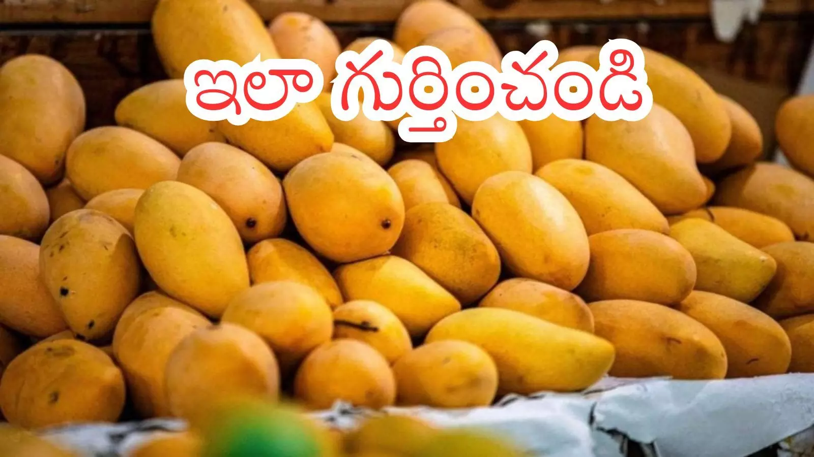 Bright yellow mangoes displayed in a market highlighting the risk of chemical ripened mango fruits.