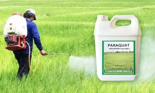telangana government bans paraquat herbicide