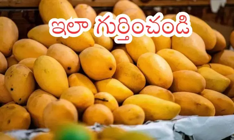 Bright yellow mangoes displayed in a market highlighting the risk of chemical ripened mango fruits.