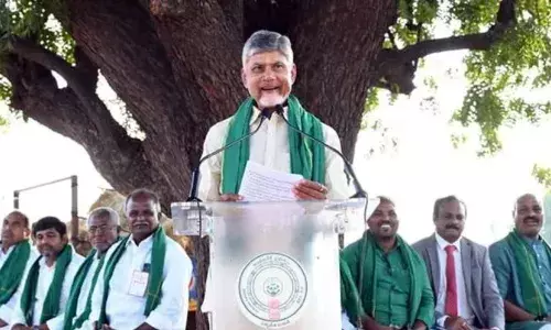 Chandrababu : నేడు వేమూరు నియోజకవర్గానికి చంద్రబాబు