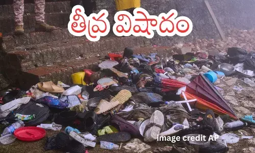 Crowd at Citadelle Laferrière in Haiti during festivities before deadly stampede