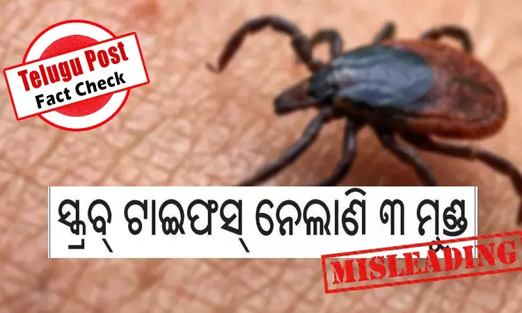 scrub typhus deaths in Pallahara, Odisha scrub typhus deaths in Pallahara, Odisha