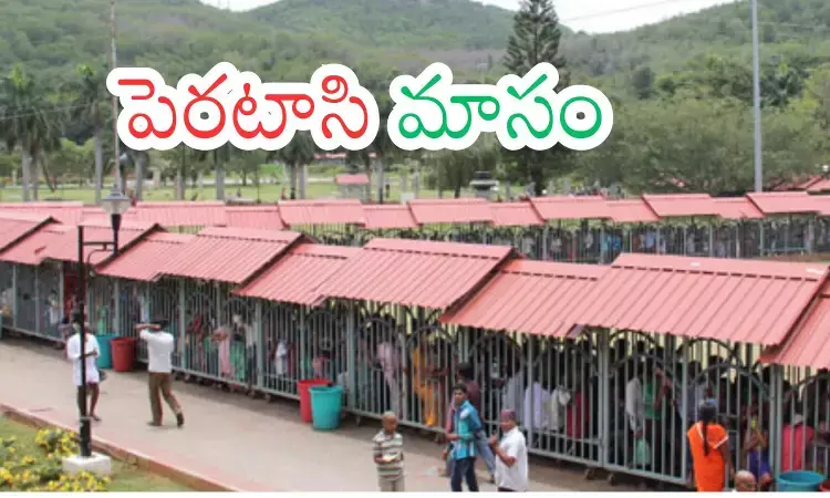 Tirumala : తిరుమలలో అనూహ్యంగా భక్తుల రద్దీ పెరగడానికి కారణమిదే Tirumala : తిరుమలలో అనూహ్యంగా భక్తుల రద్దీ పెరగడానికి కారణమిదే