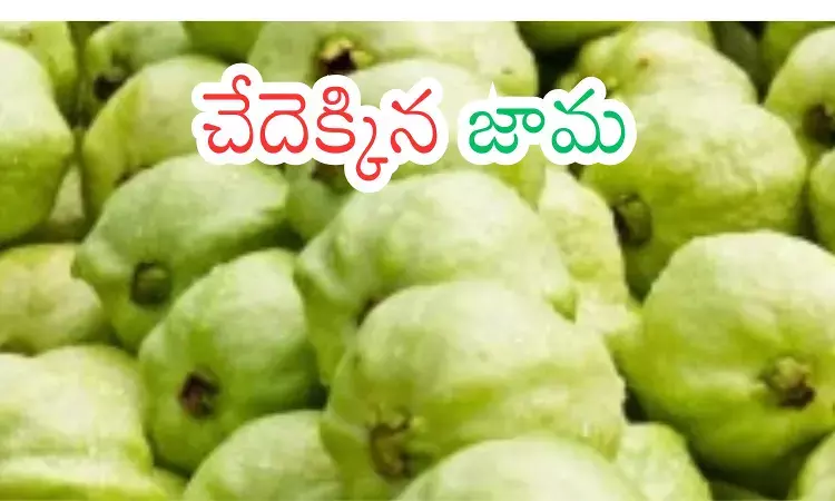 guava prices are skyrocketing in hyderabad