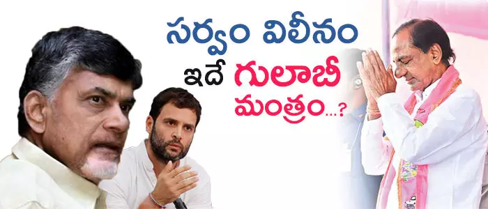 elections 2019 telugu post telugu news
