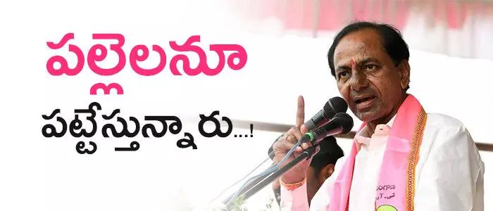 trs-in-panchayath-elections