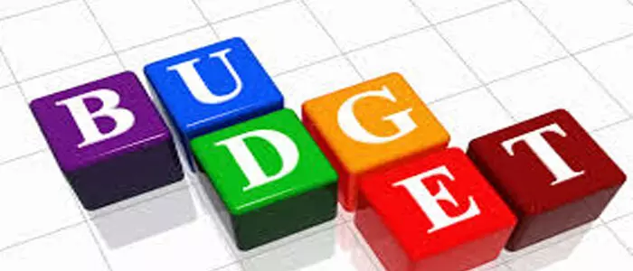 congress comments on budget