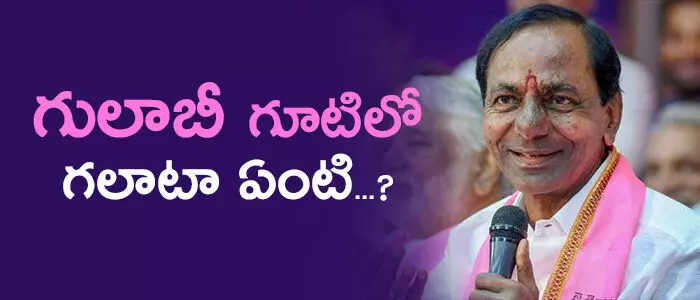 group-fight-in-trs-party