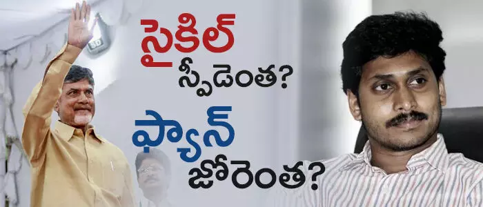 counting-day-telugudesam-ysr-congress