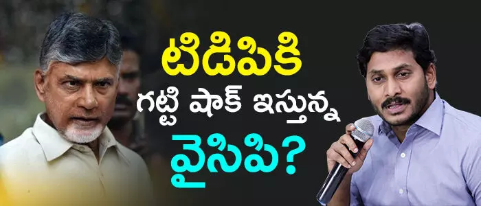 జగన్ మోహన్ రెడ్డి