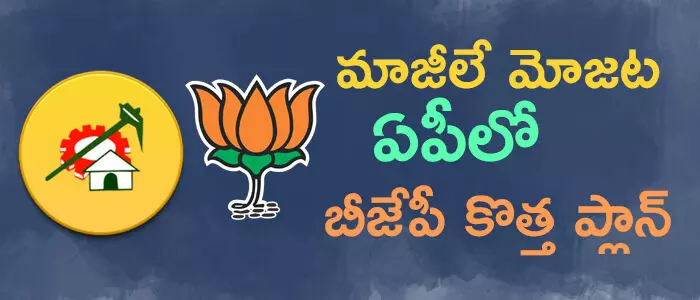 బీజేపీ బీజేపీ