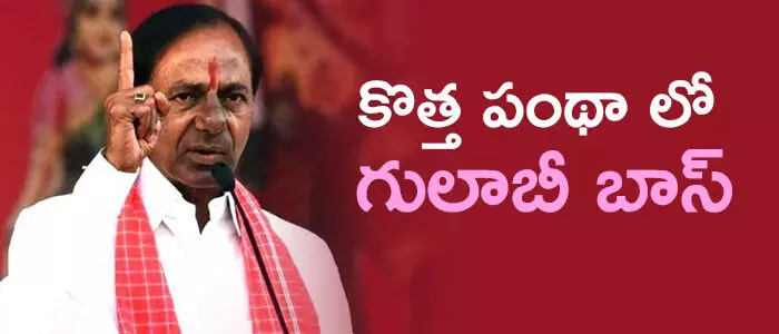 కొత్త పంథా లో గులాబీ బాస్