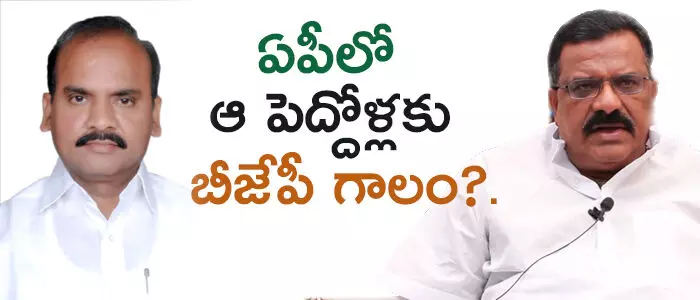 ఆంధ్రప్రదేశ్ బీజేపీ