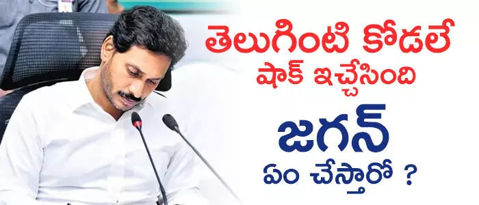 నిర్మలాసీతారామన్ నిర్మలాసీతారామన్