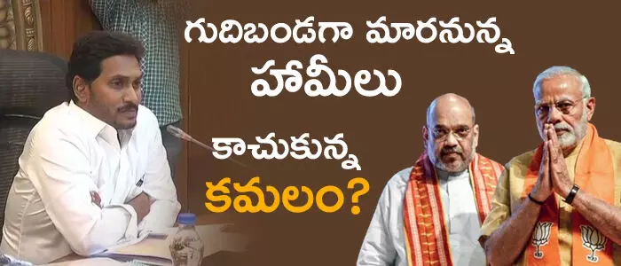 బీజేపీ బీజేపీ