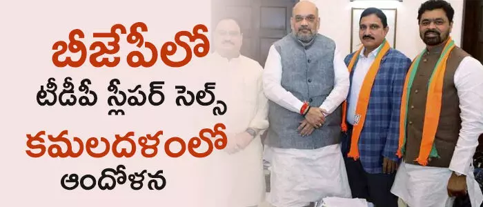 సుజనాచౌదరి