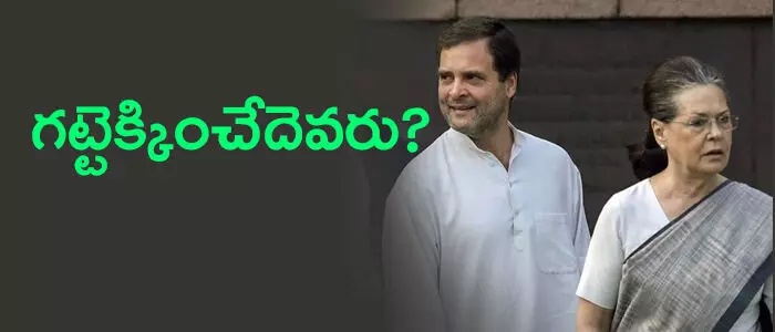 కాంగ్రెస్