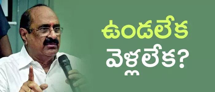 కామినేని శ్రీనివాస్