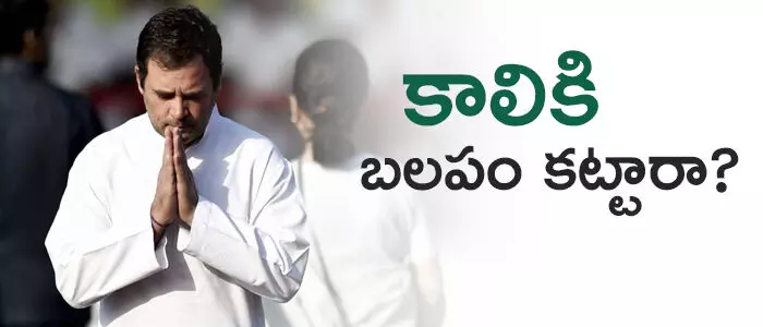 రాహుల్ గాంధీ రాహుల్ గాంధీ