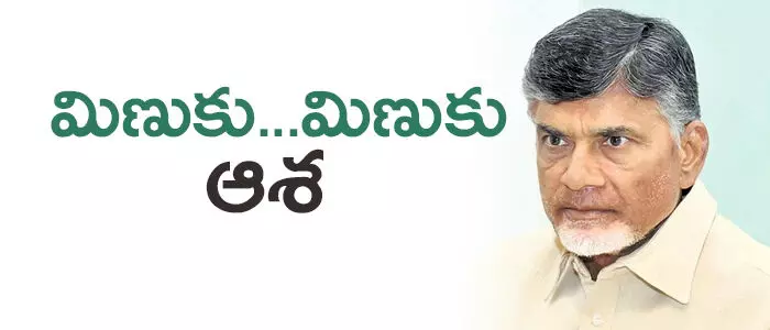 బీజేపీ బీజేపీ