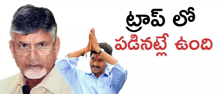 వైసిపి