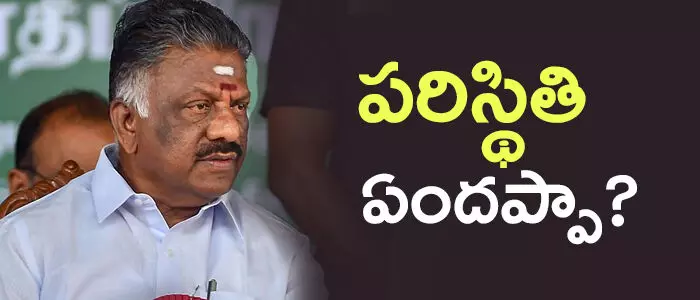 పన్నీర్ సెల్వం