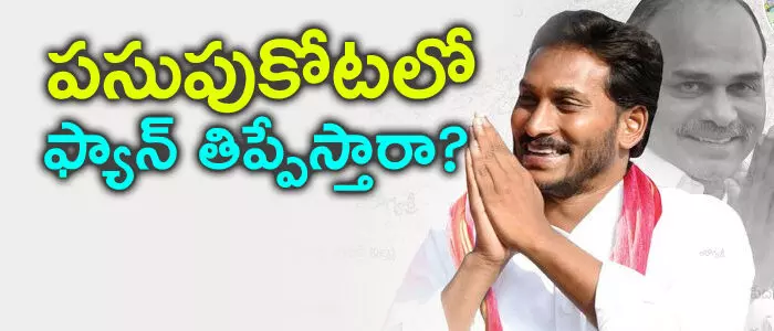 వైసిపి వైసిపి