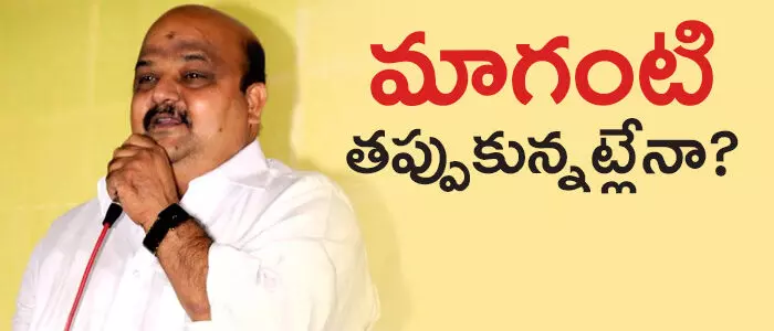 మాగంటి బాబు