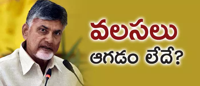 టీడీపీ టీడీపీ