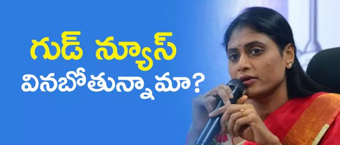వైఎస్ షర్మిల వైఎస్ షర్మిల