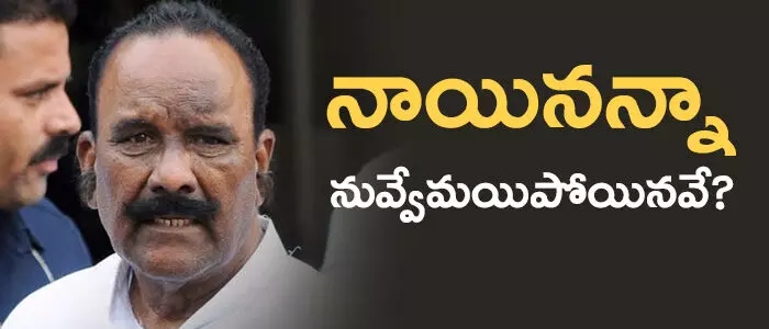 నాయిని నర్సింహారెడ్డి