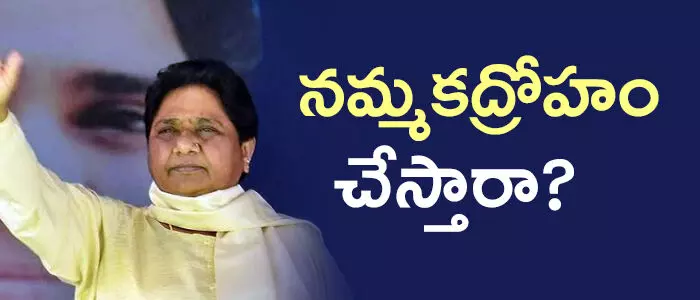 మాయావతి