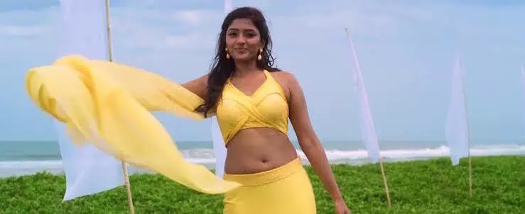 తెలుగు పిల్ల సినిమా కష్టాలు