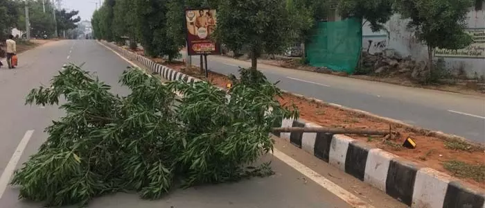 హరితహారం హరితహారం