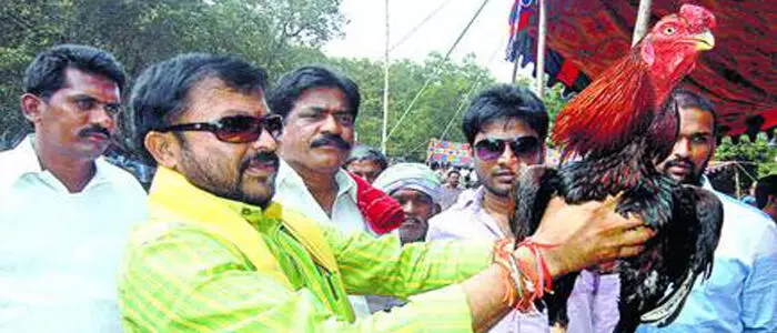 చింతమనేని ప్రభాకర్ చింతమనేని ప్రభాకర్