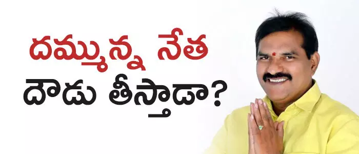 నిమ్మల రామానాయుడు