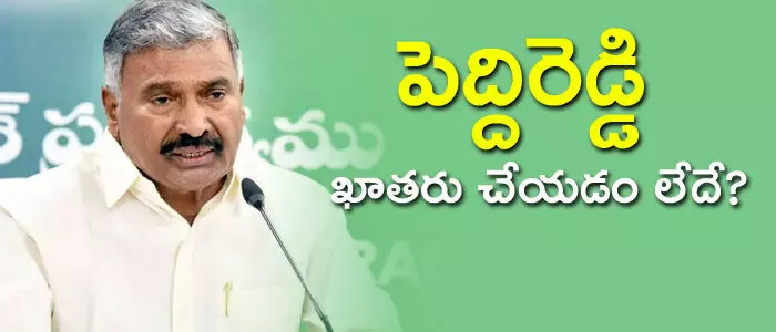 పెద్దిరెడ్డి రామచంద్రారెడ్డి